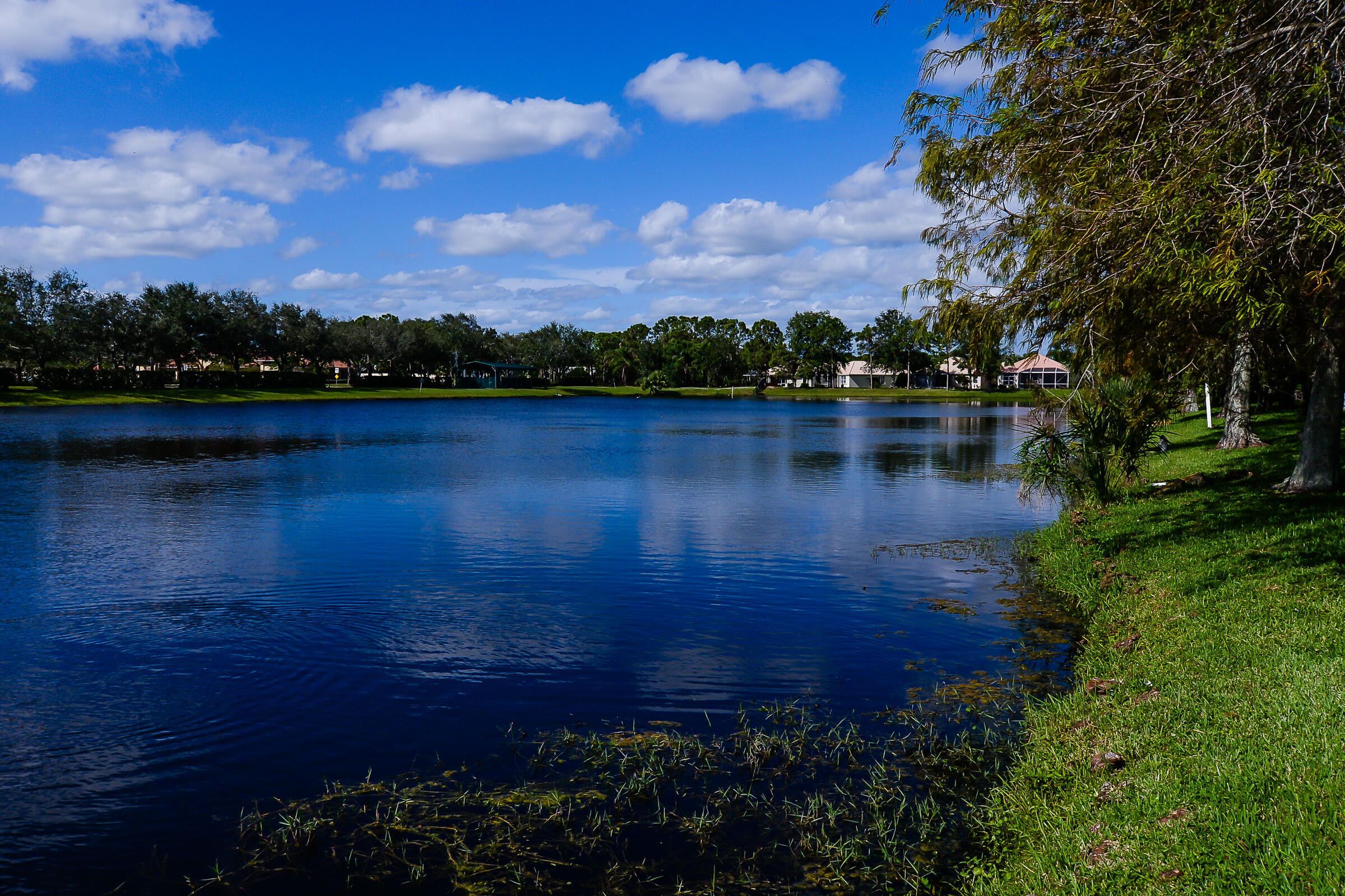 Kings Isle - Isle of Lombardy - Residential