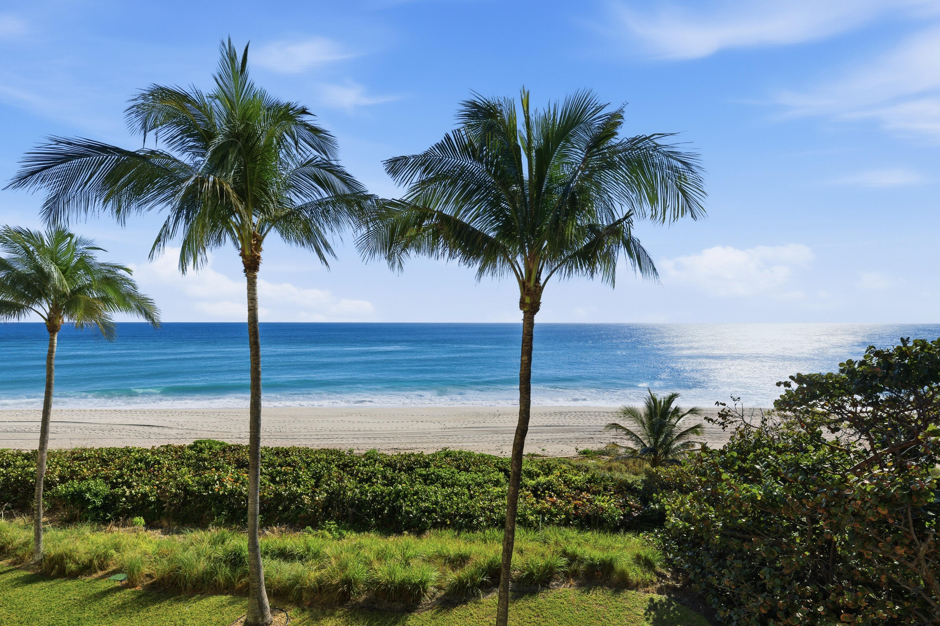 OCEAN GRANDE BEACH & MARINA - Residential