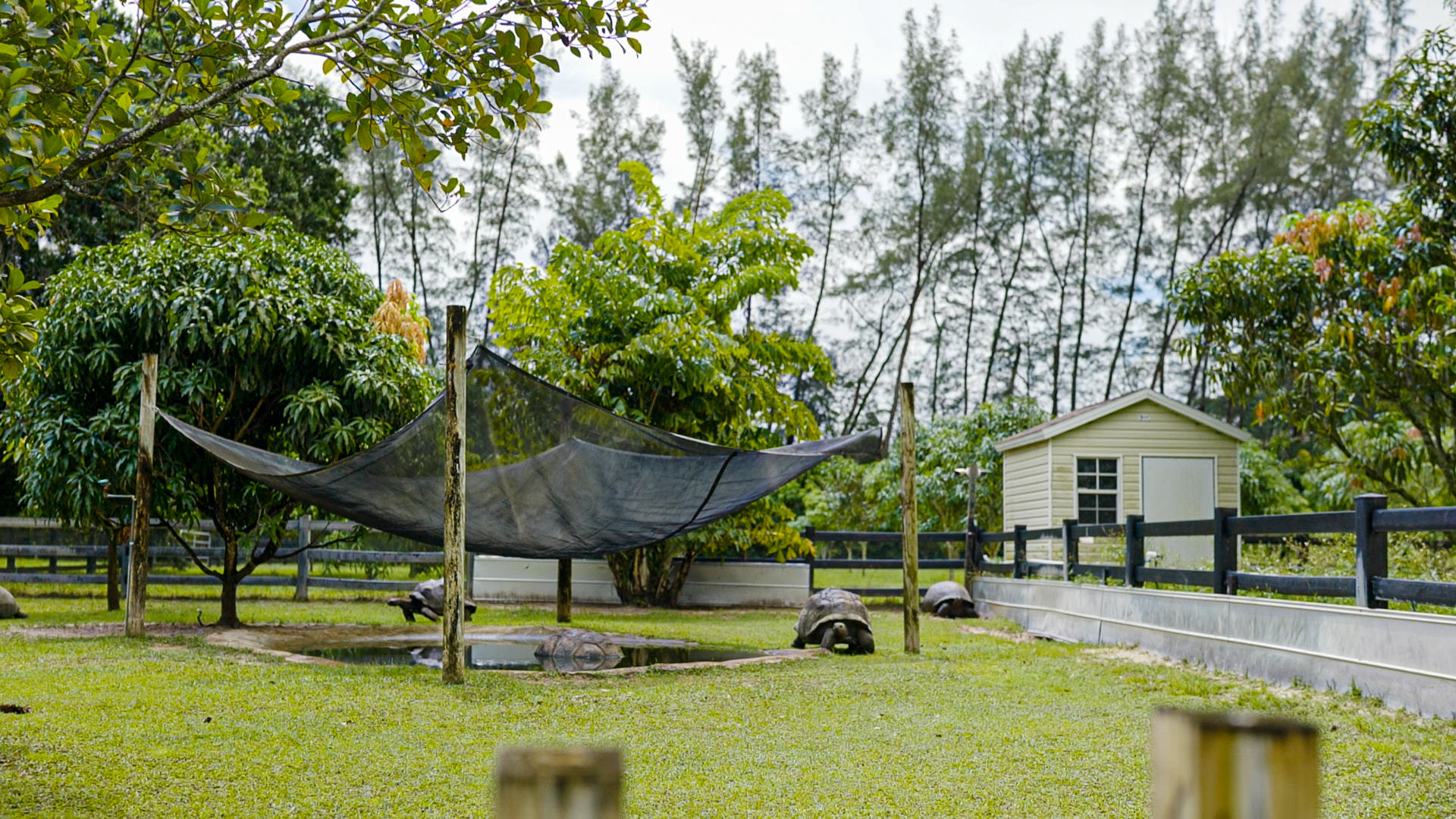 HORSESHOE ACRES - Residential