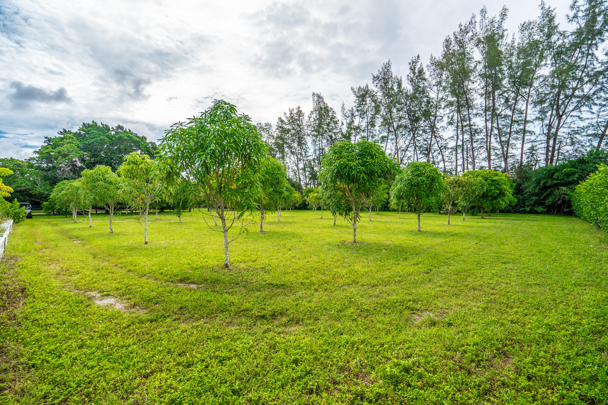 HORSESHOE ACRES - Residential