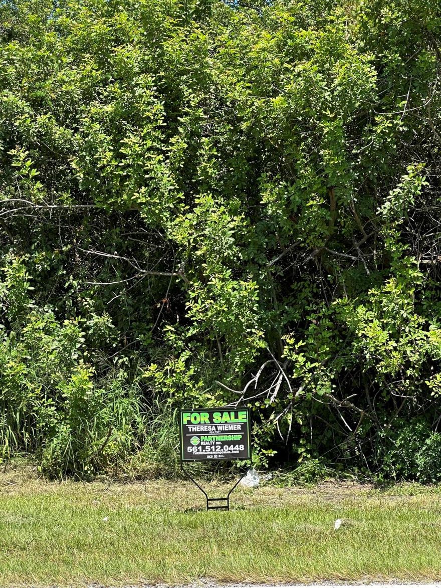Great opportunity to own this double lot to build a larger home or can split and purchase either lot 12 or 13 separately.  Very convenient to the turnpike.  Attn Builders.......great side by side lots to build a couple spec homes!