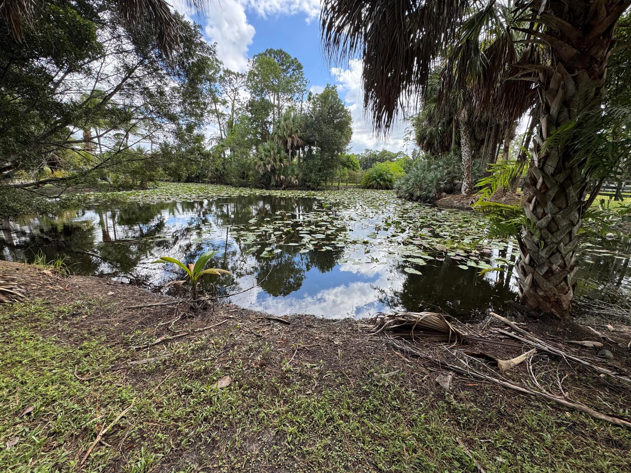 Loxahatchee Groves - Land