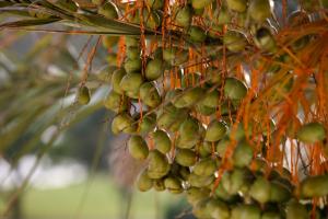 Sailfish Point - Residential