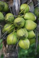 Sailfish Point - Residential