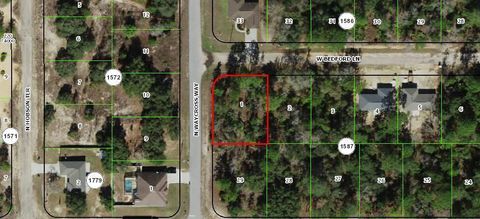 3154 W Bedford Lane Citrus Springs FL 34434