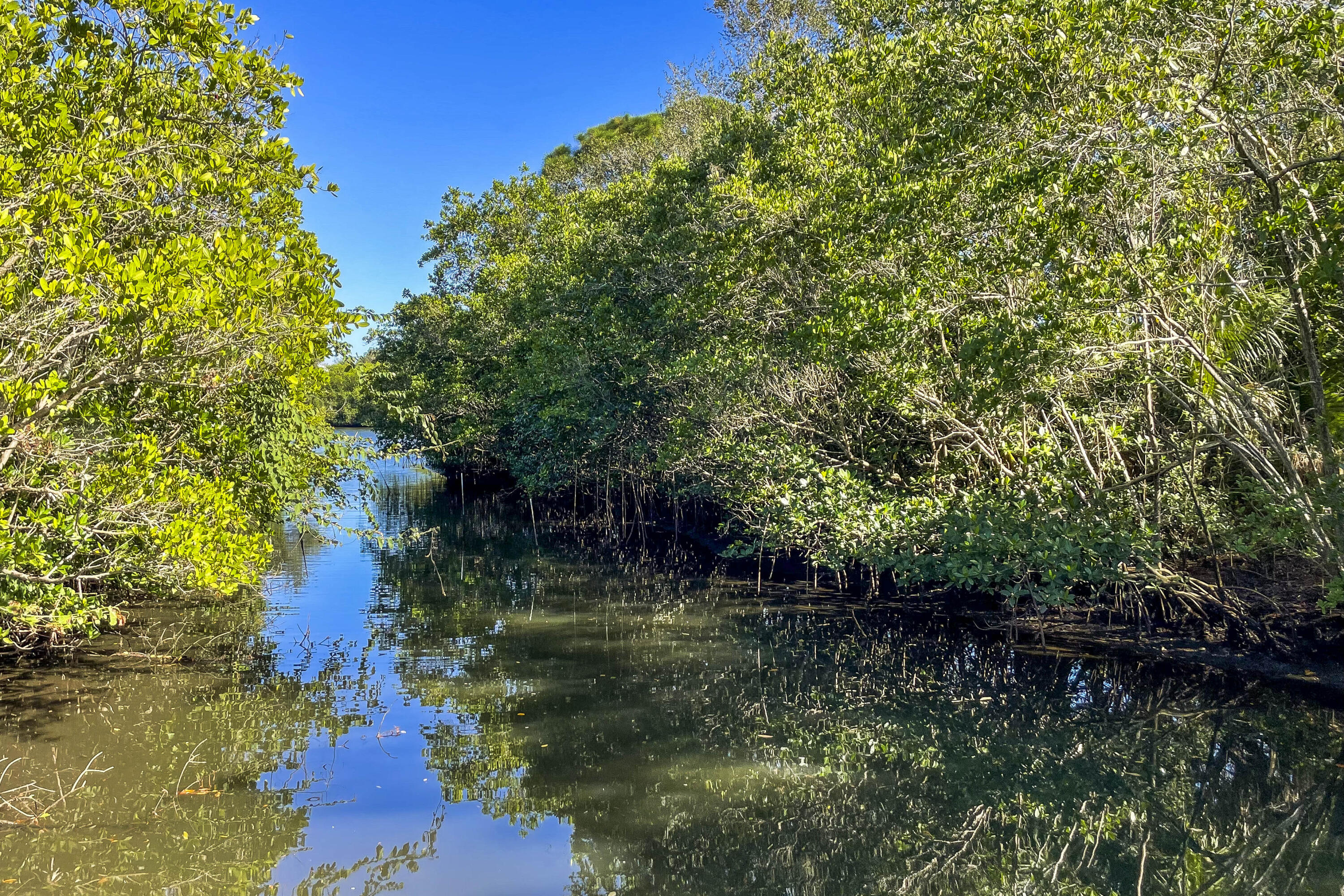 Shores Pointe - Residential