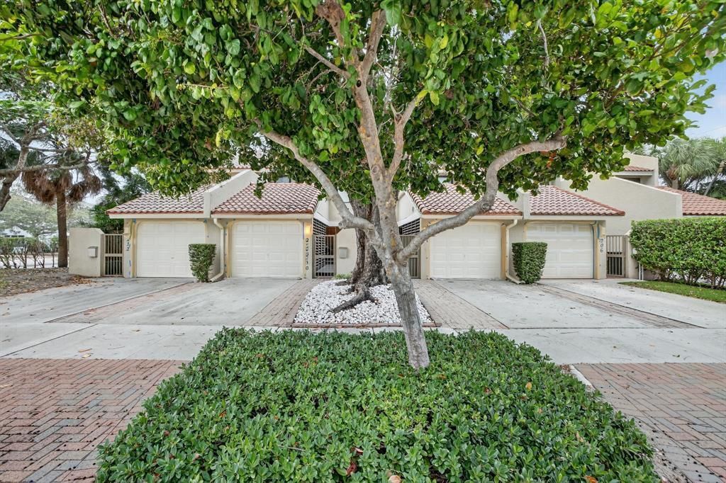 Photo of 210 Washingtonia Ave, Fort Lauderdale, FL 33308 (MLS # B26000675)