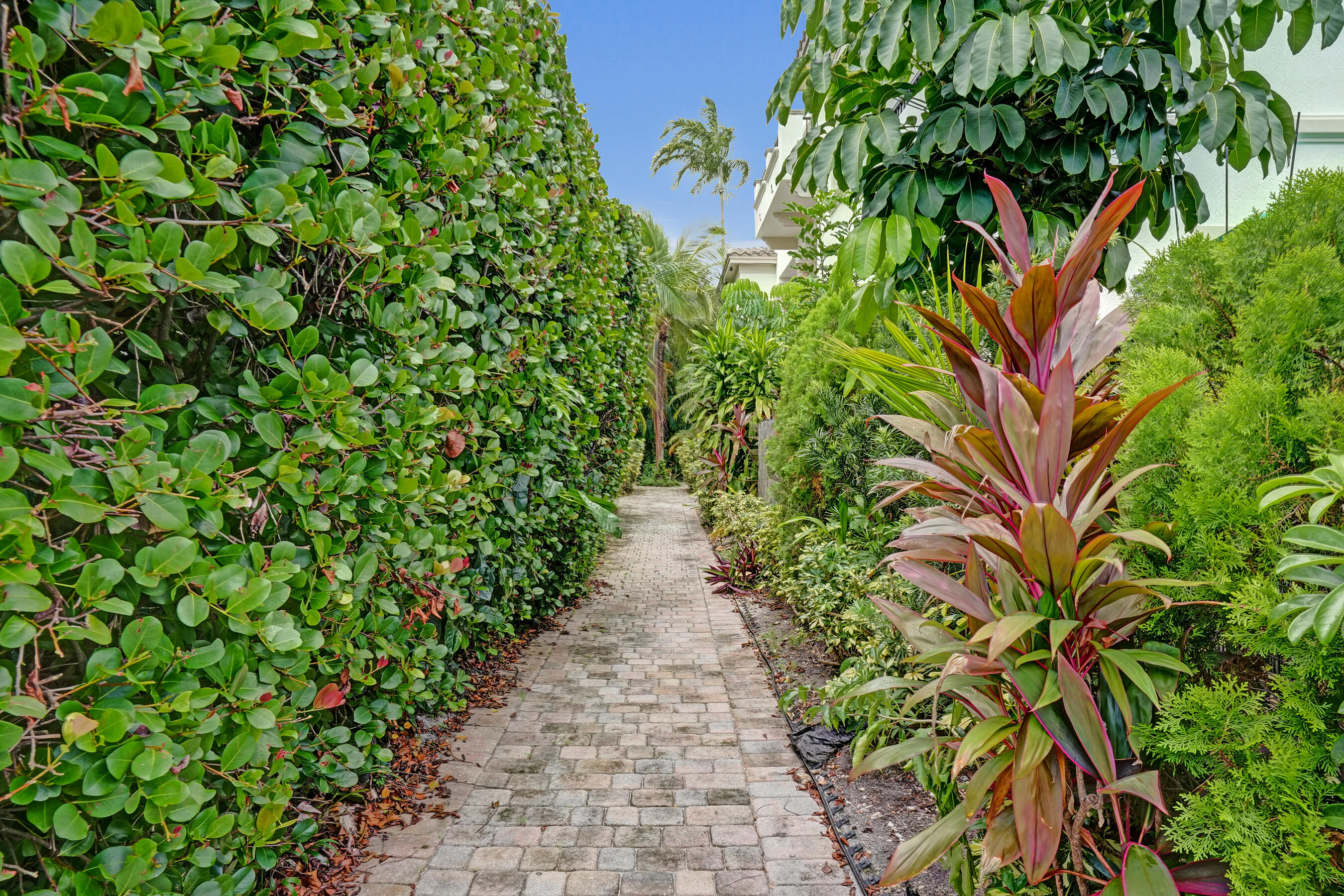 PROGRESSO - Residential