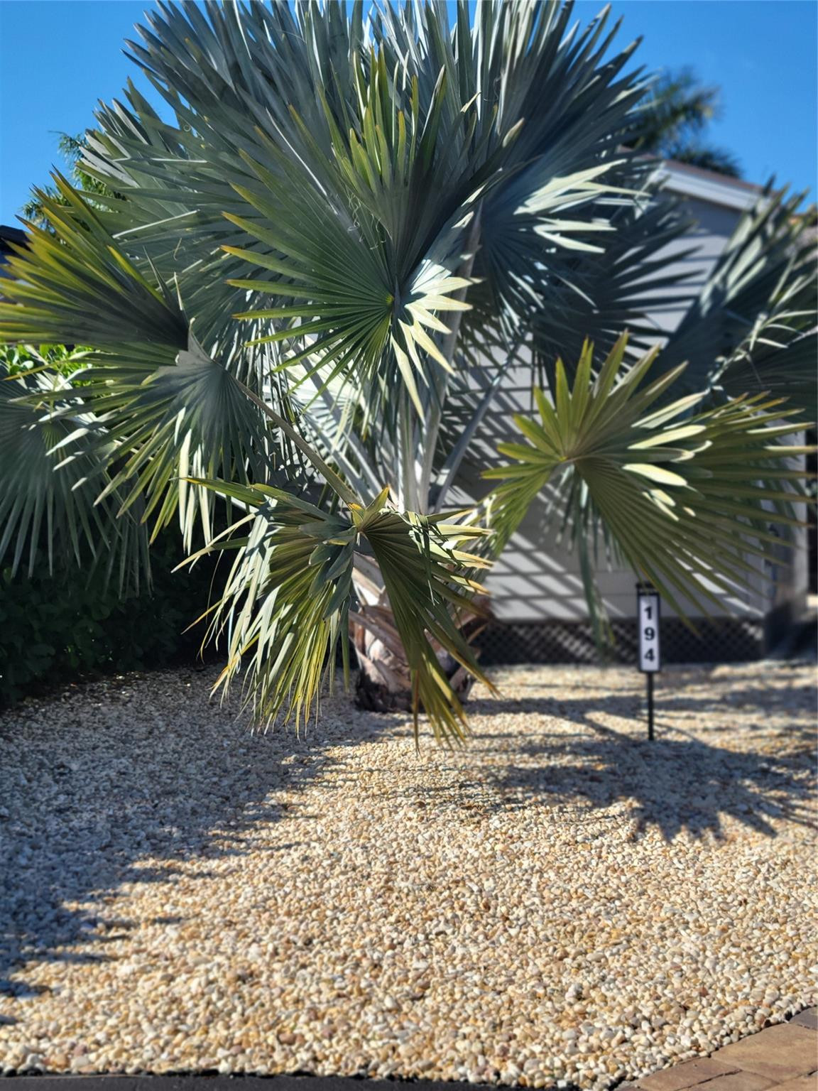 Silver Palms Rv Resort - Land