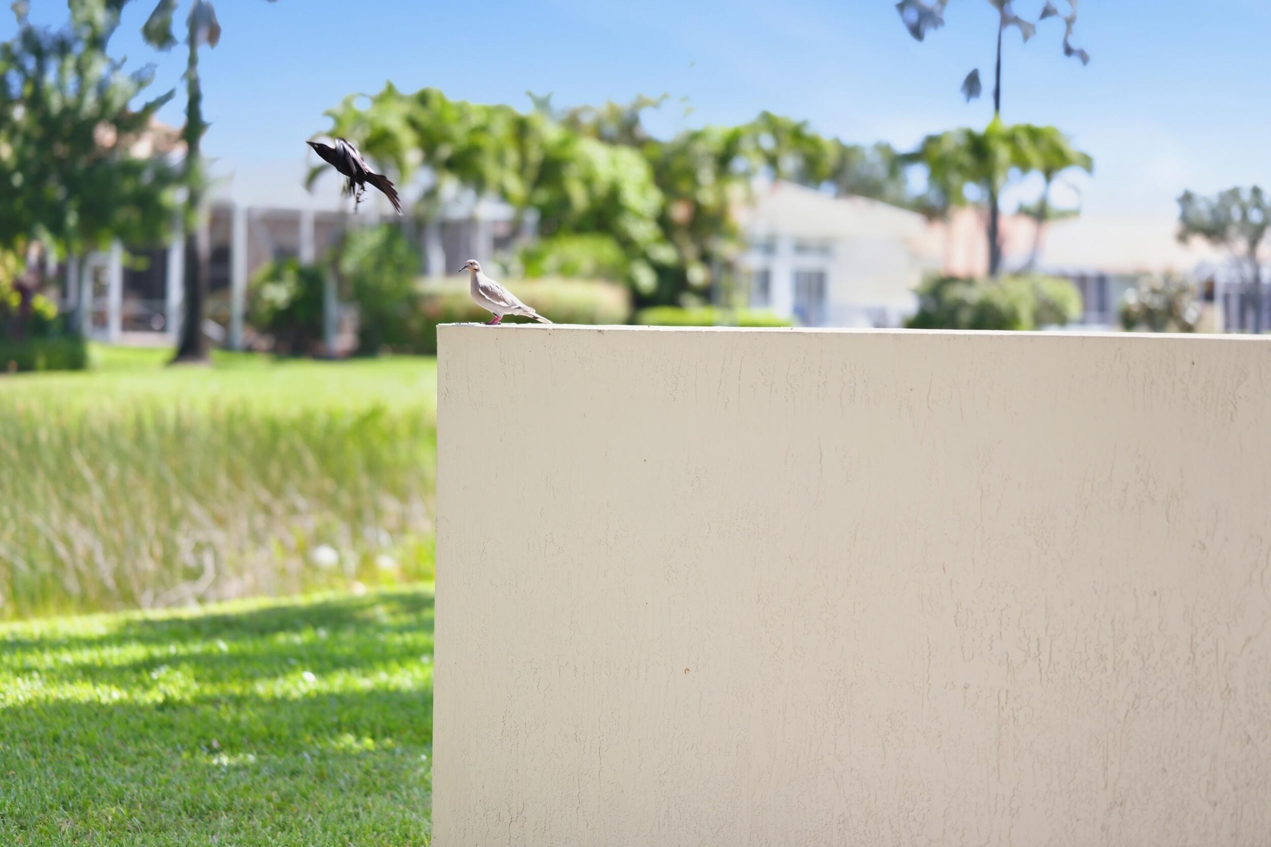 TUSCANY PAR D - Residential