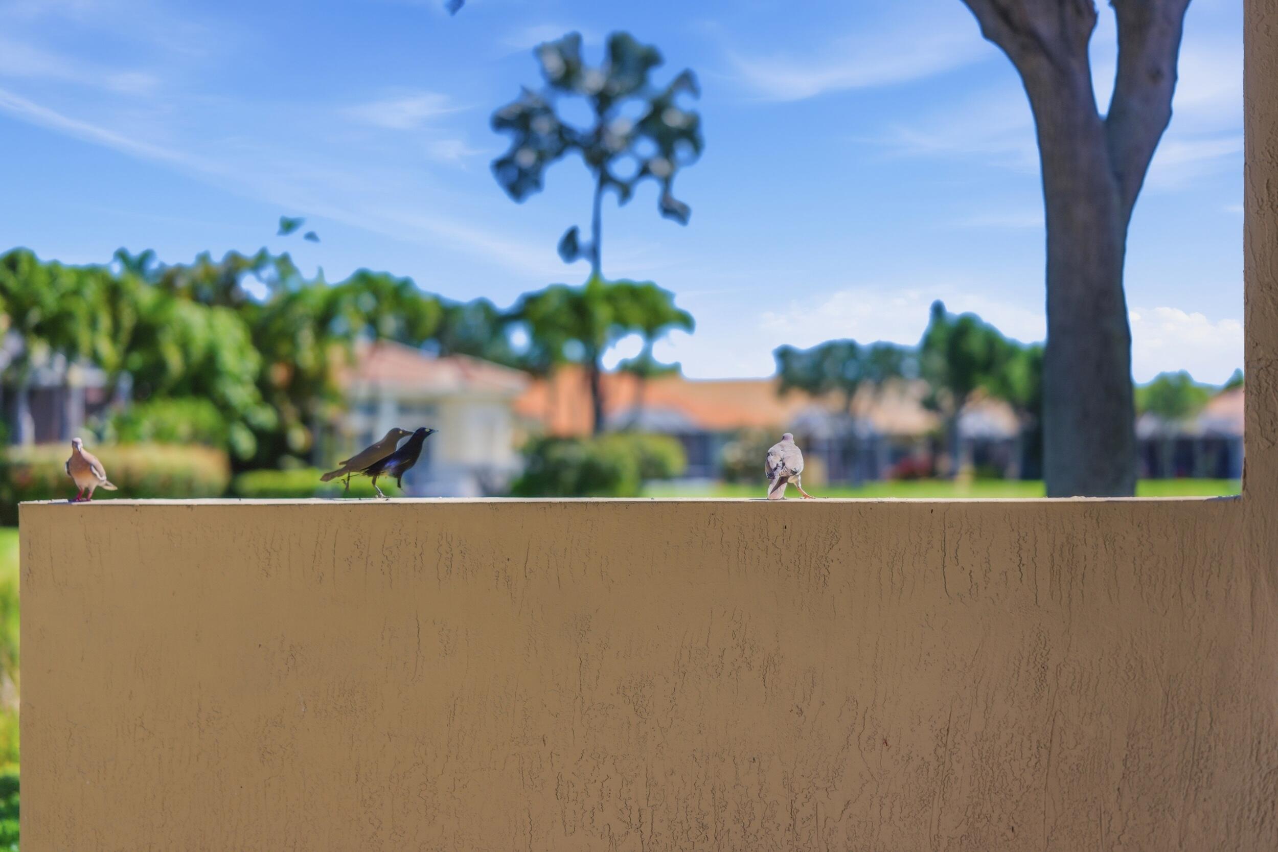 TUSCANY PAR D - Residential