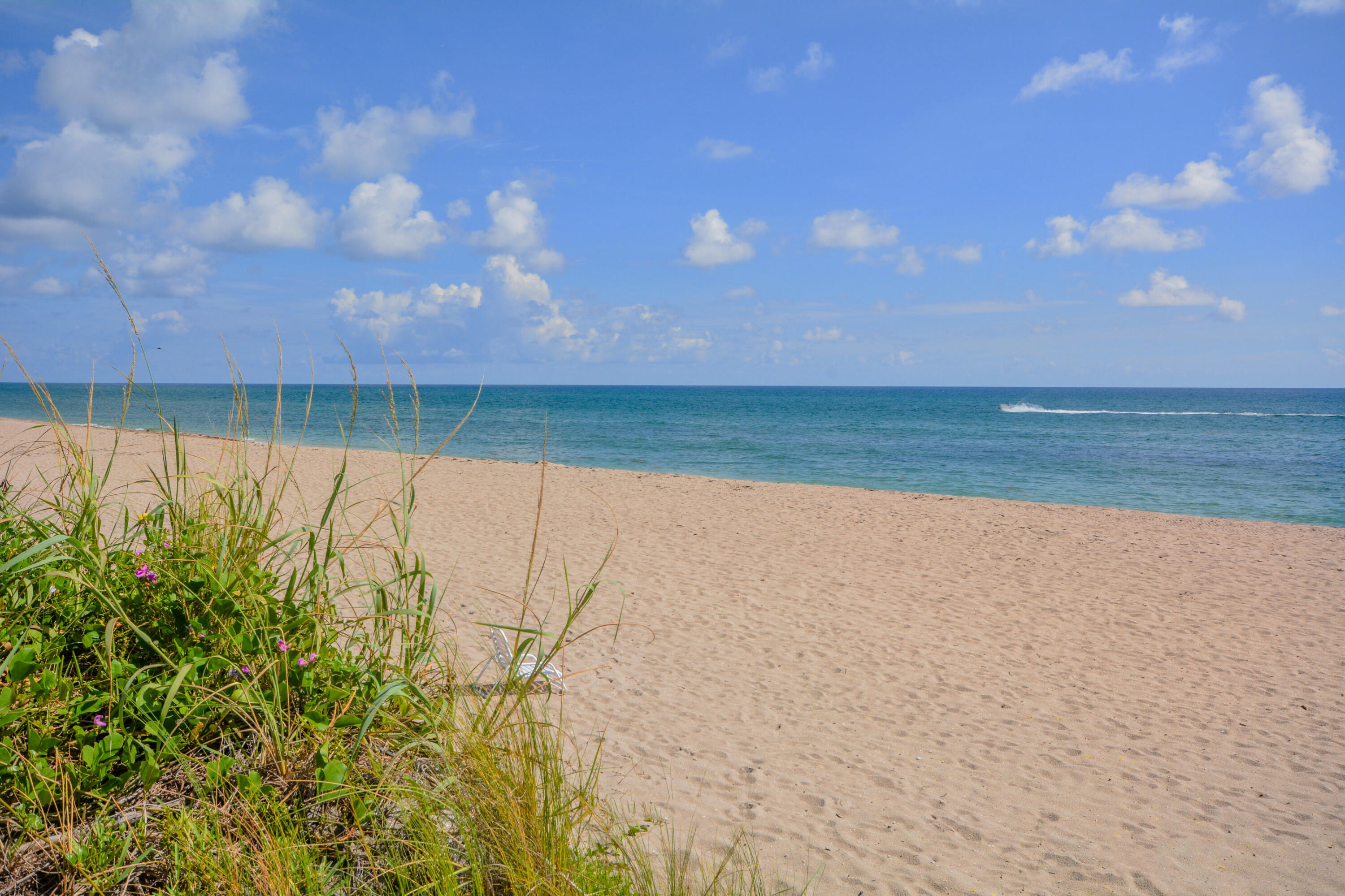 CARLYLE HOUSE COND - Residential