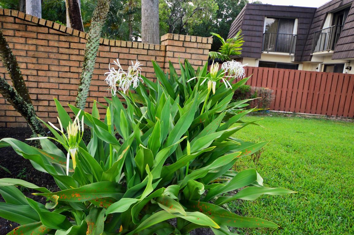 HERITAGE VILLAGE OF P B LAKES - Residential