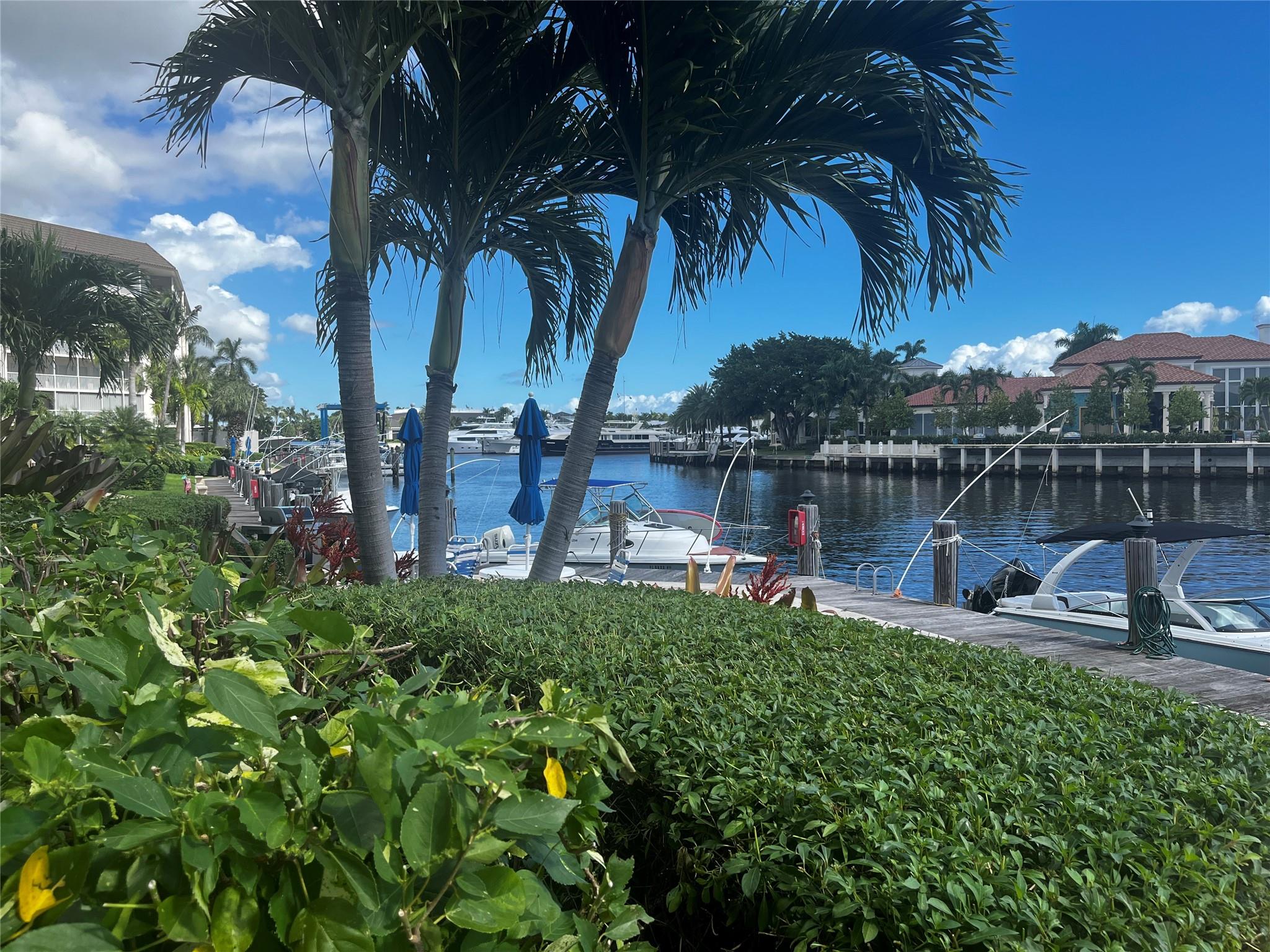 River House Towers - Residential