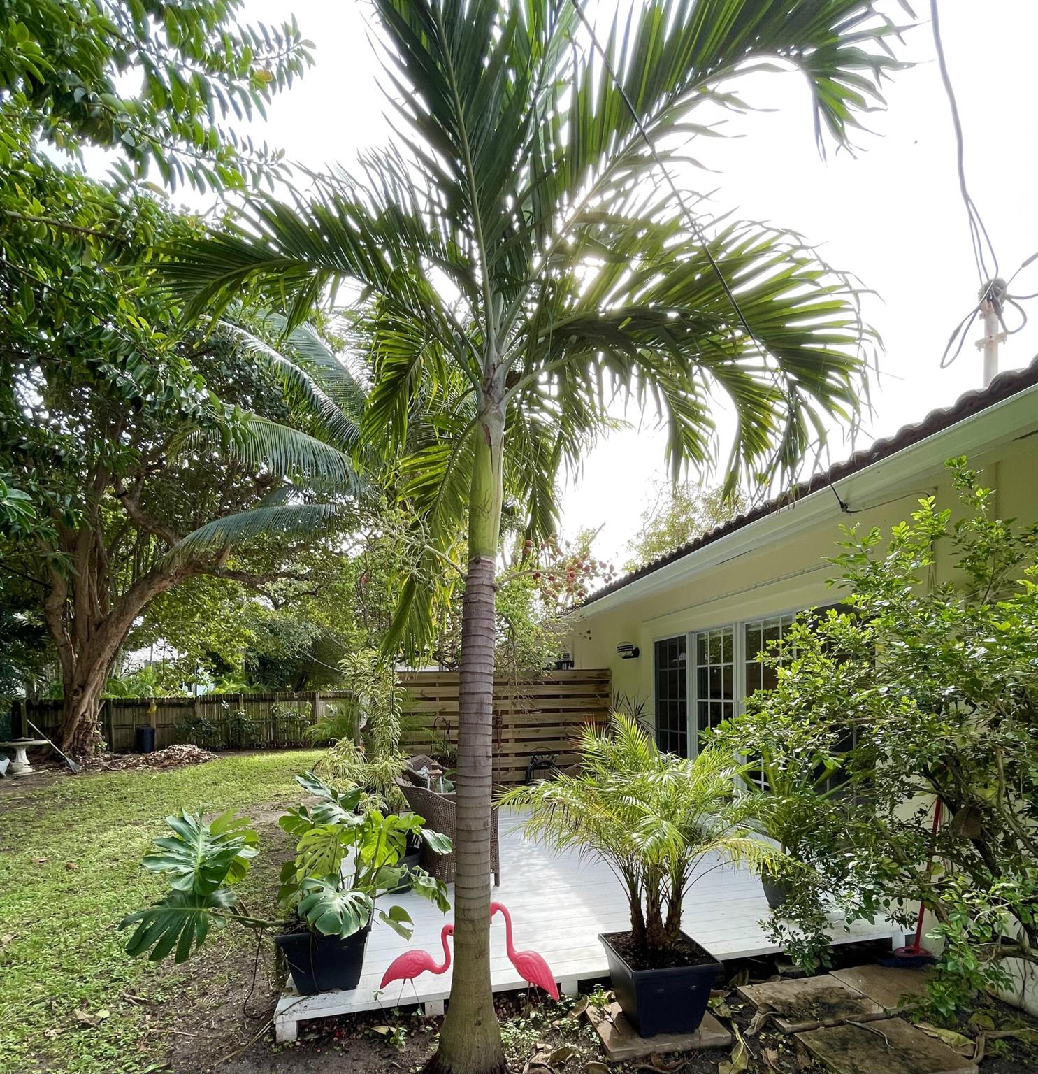 Riviera - Residential Lease