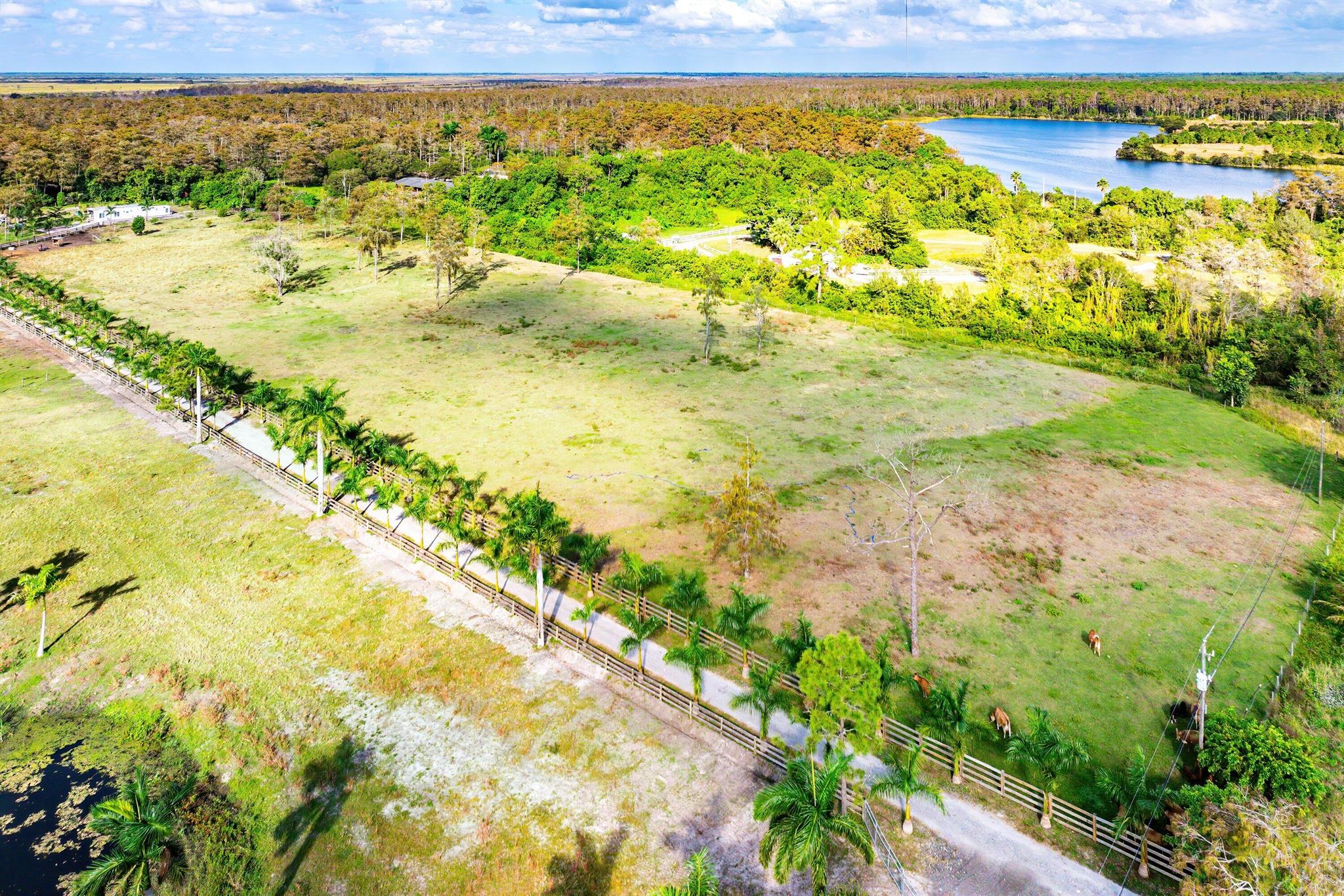 KING SOUTH KING NIEBEL TO - Land