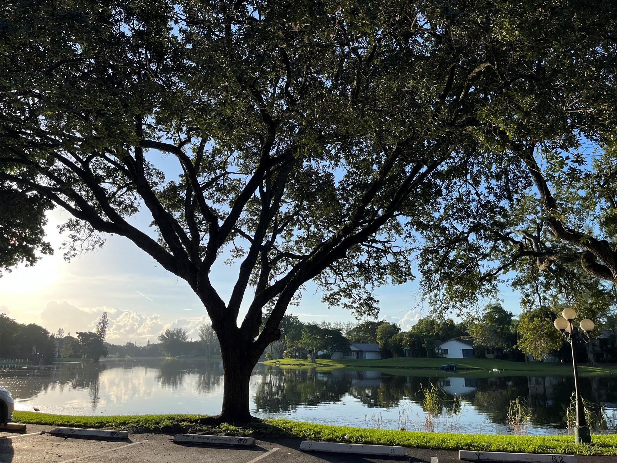 International Village At - Residential Lease