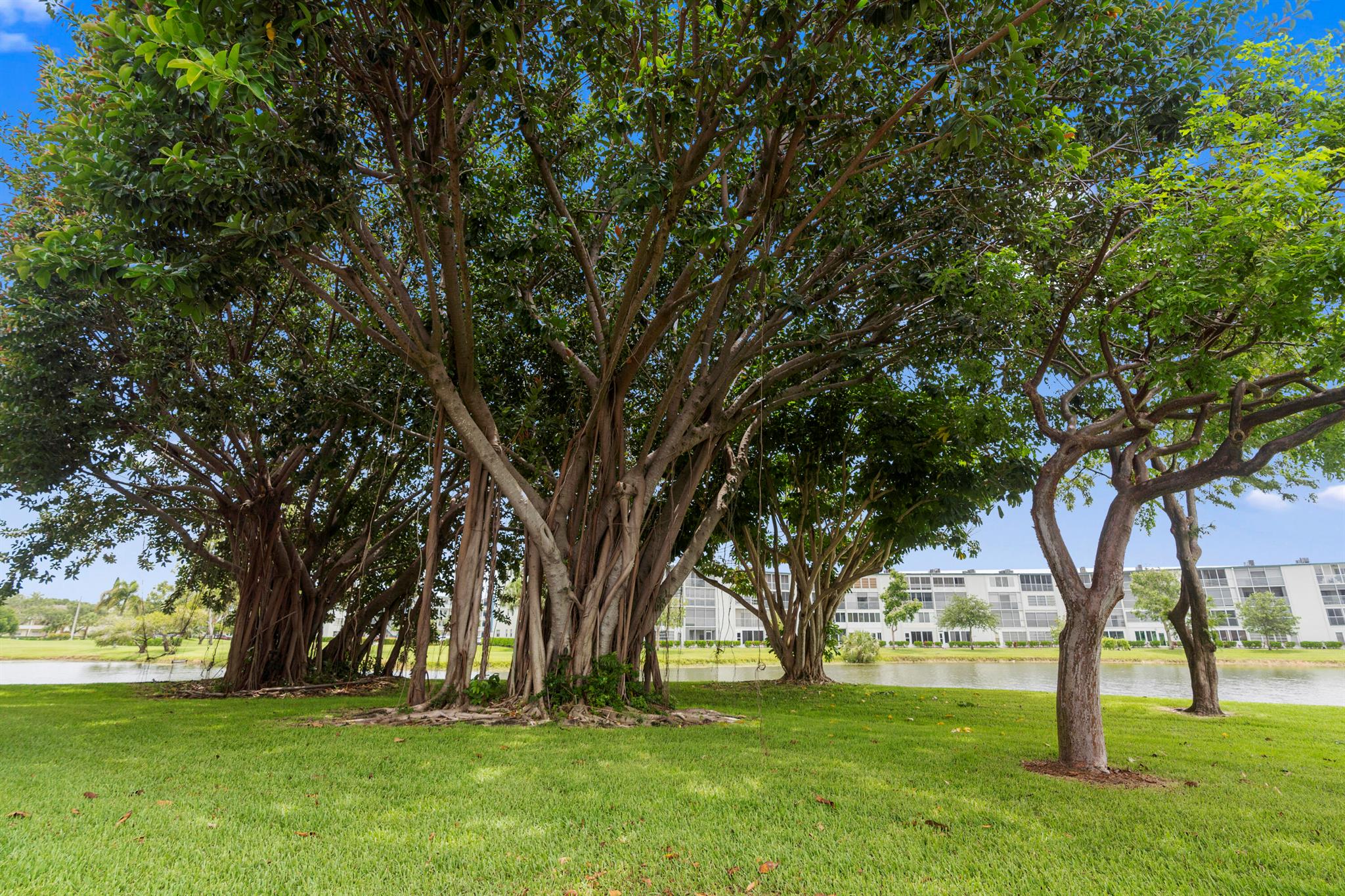 NEWCASTLE AT CENTURY VILL - Residential