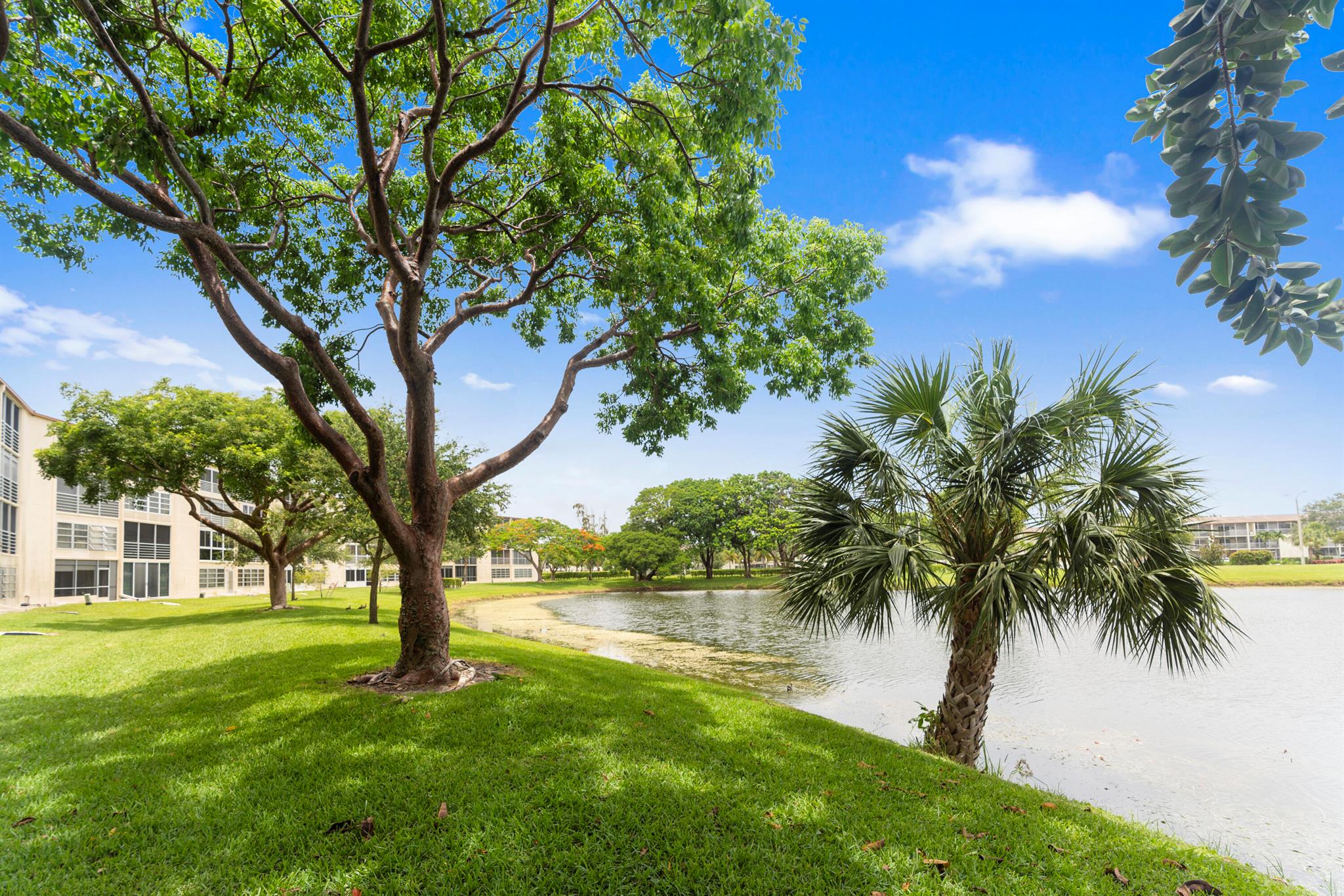NEWCASTLE AT CENTURY VILL - Residential