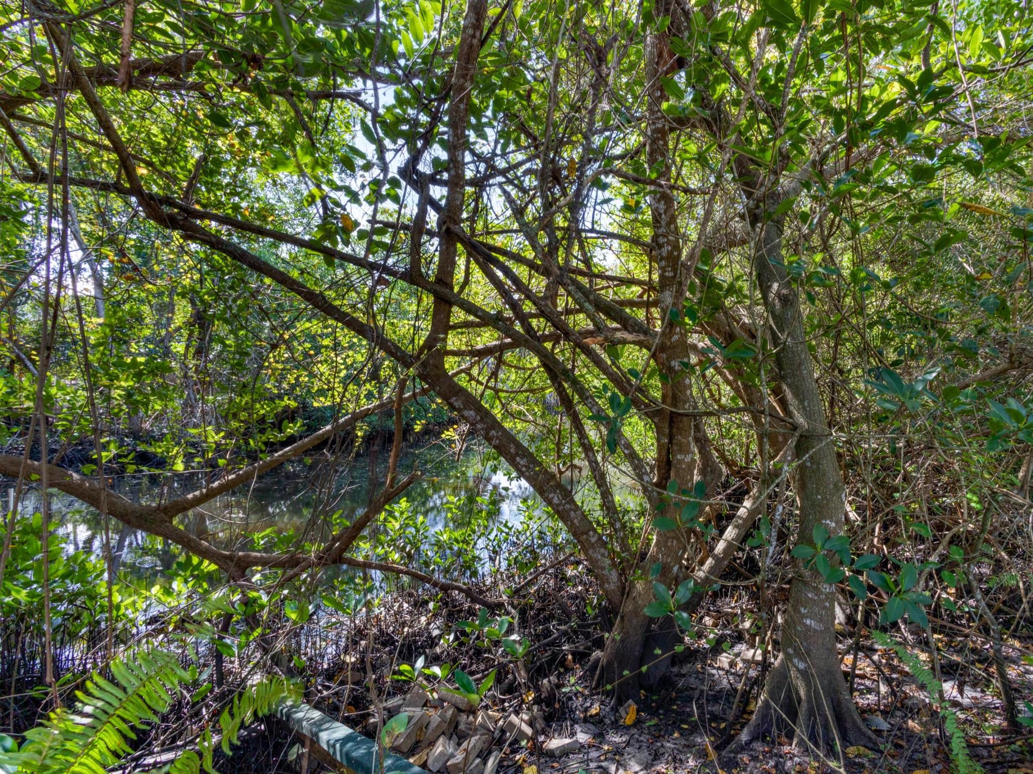 JUPITER RIVER ESTATES REP - Residential