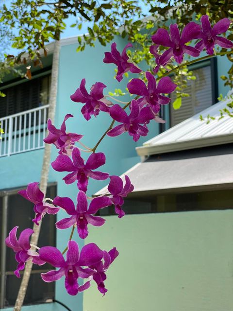 A home in Hobe Sound