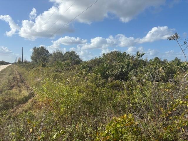 The Viking Estates - Land