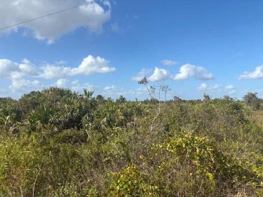 Build your dream home on 1.25 acres in Okeechobee. Hunt, camp and build on this beautiful property.
Culvert and survey included.