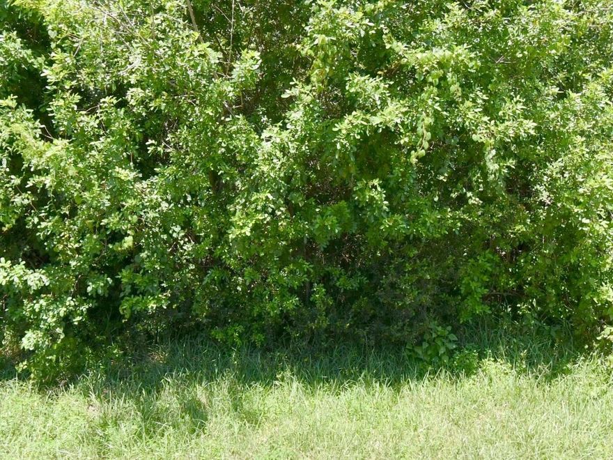 Stop settling for small lots and build the custom home you've always wanted! This exceptional 0.47-acre residential lot offers the perfect blend of space, privacy, and convenience in one of Florida's fastest-growing cities.