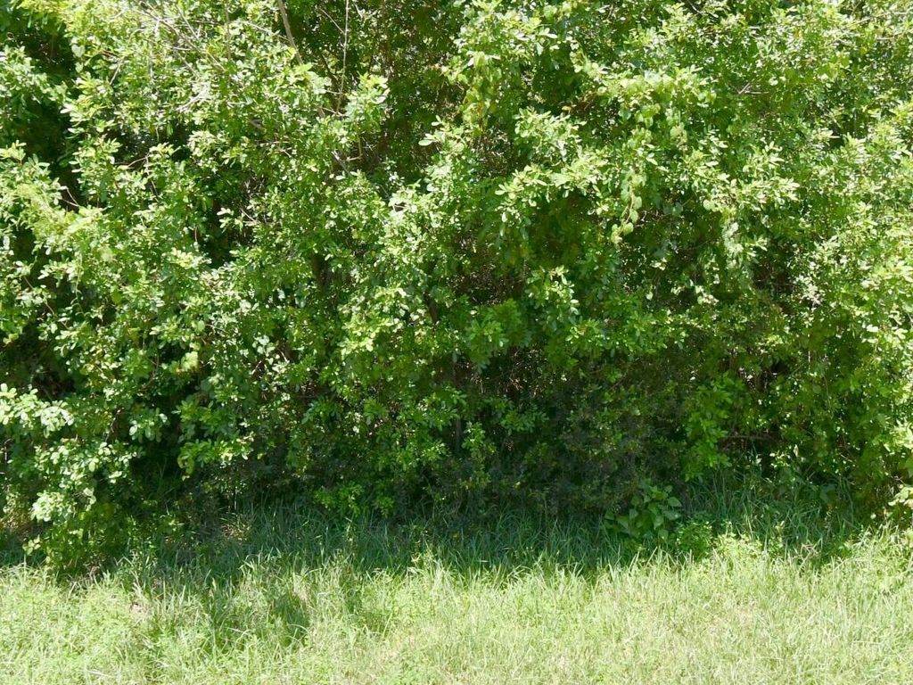 Photo of 172 SW Gettysburg Drive, Port Saint Lucie, FL 34953 (MLS # B26022374)