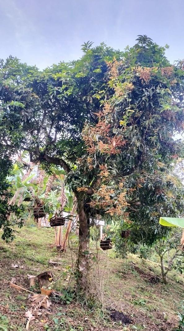 Hidden retreat - Residential