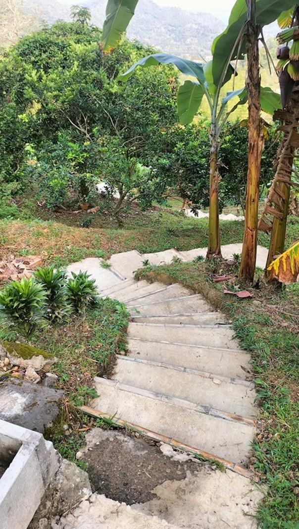 Hidden retreat - Residential