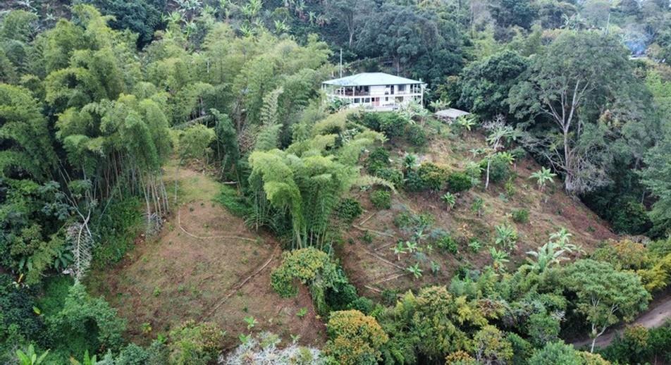 Hidden retreat - Residential