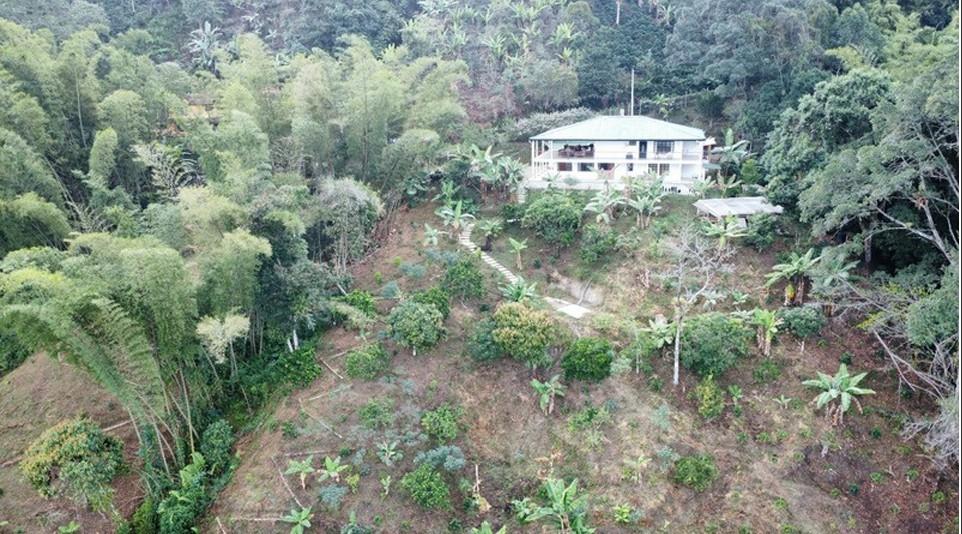 Hidden retreat - Residential