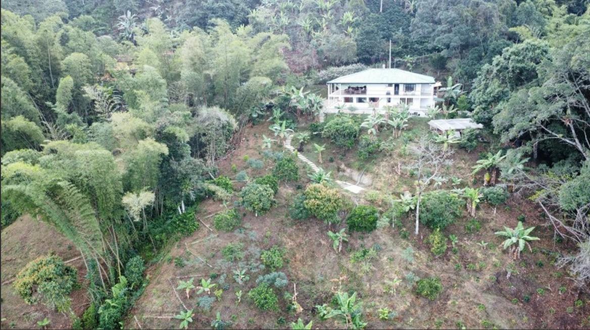 Hidden retreat - Residential