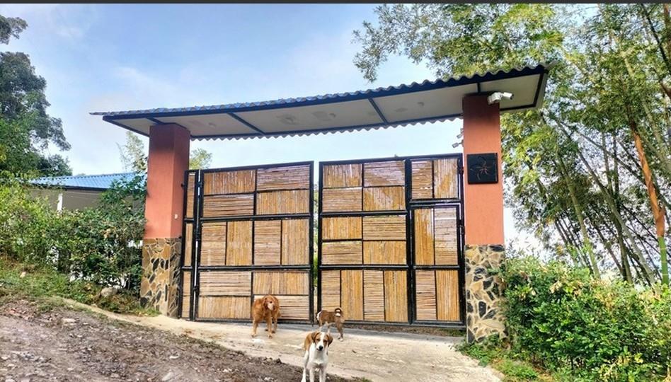 Hidden retreat - Residential