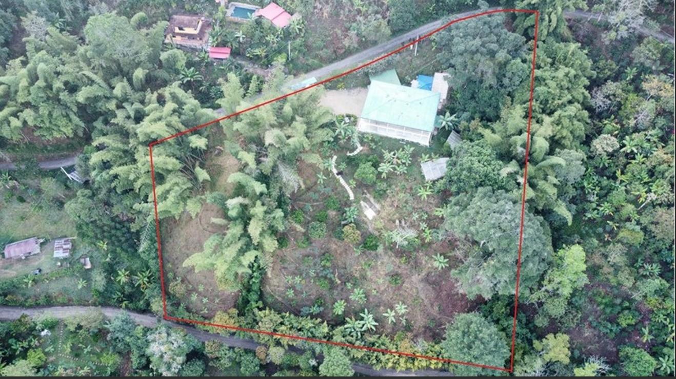 Hidden retreat - Residential