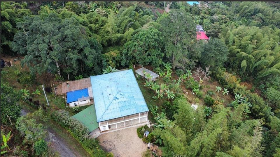 Hidden retreat - Residential