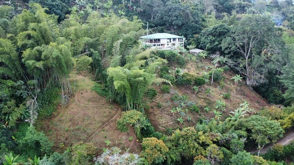 Hidden retreat - Residential