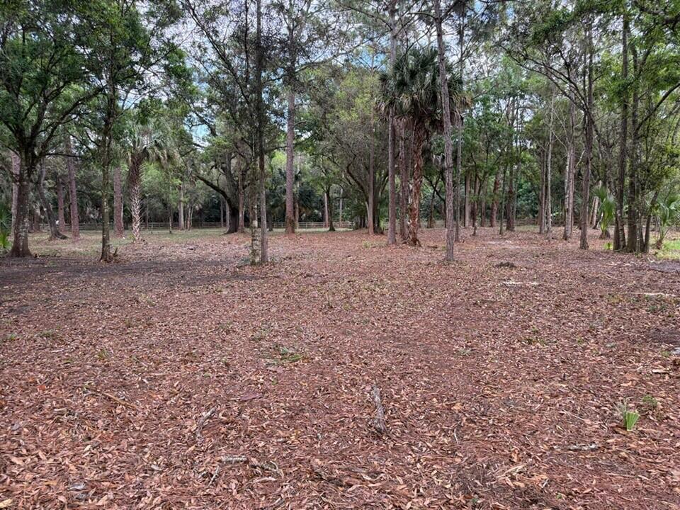 14439 Collecting Canal Road