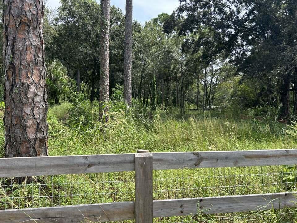 14439 Collecting Canal Road