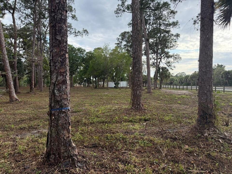 14439 Collecting Canal Road