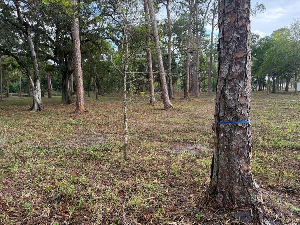 14439 Collecting Canal Road