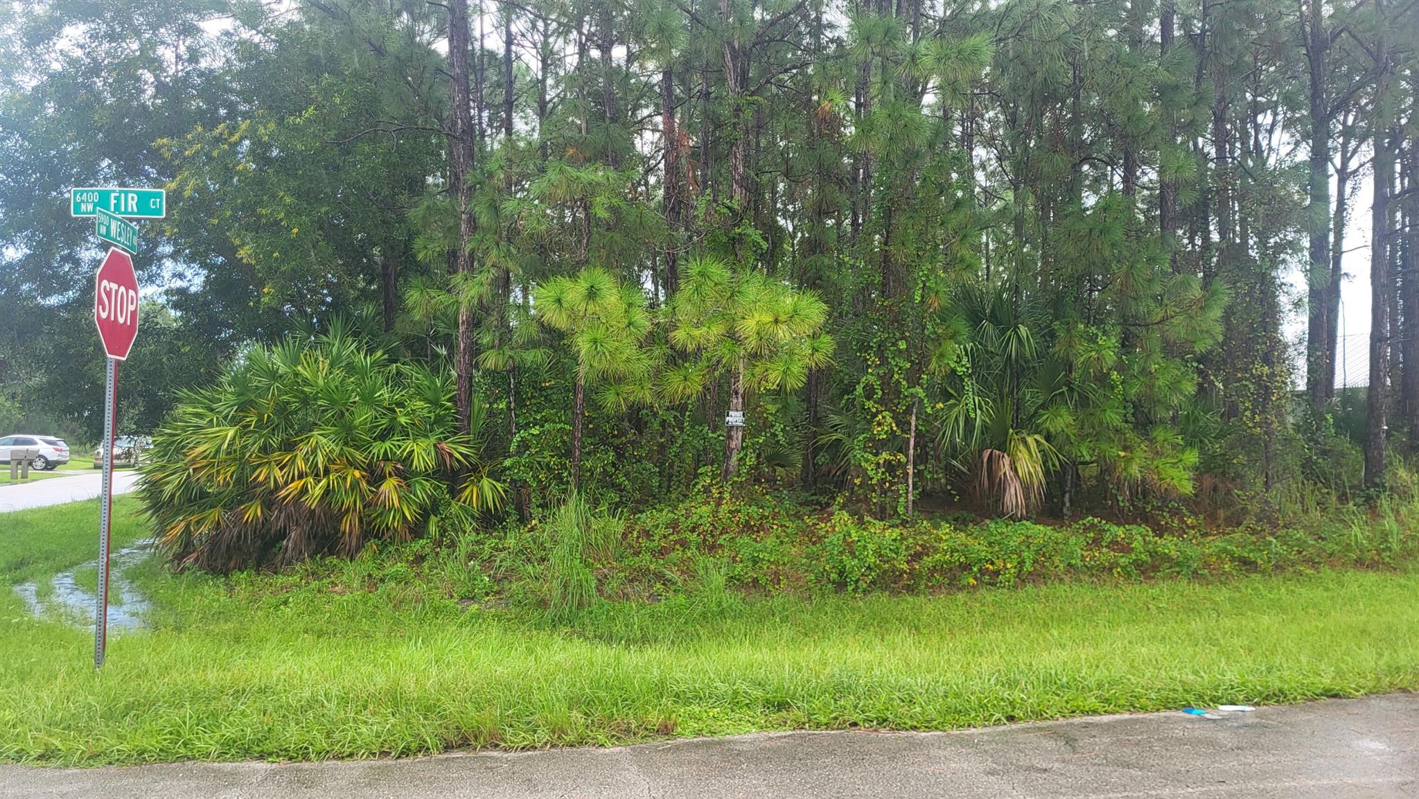 PORT ST LUCIE SECTION 44 - Land