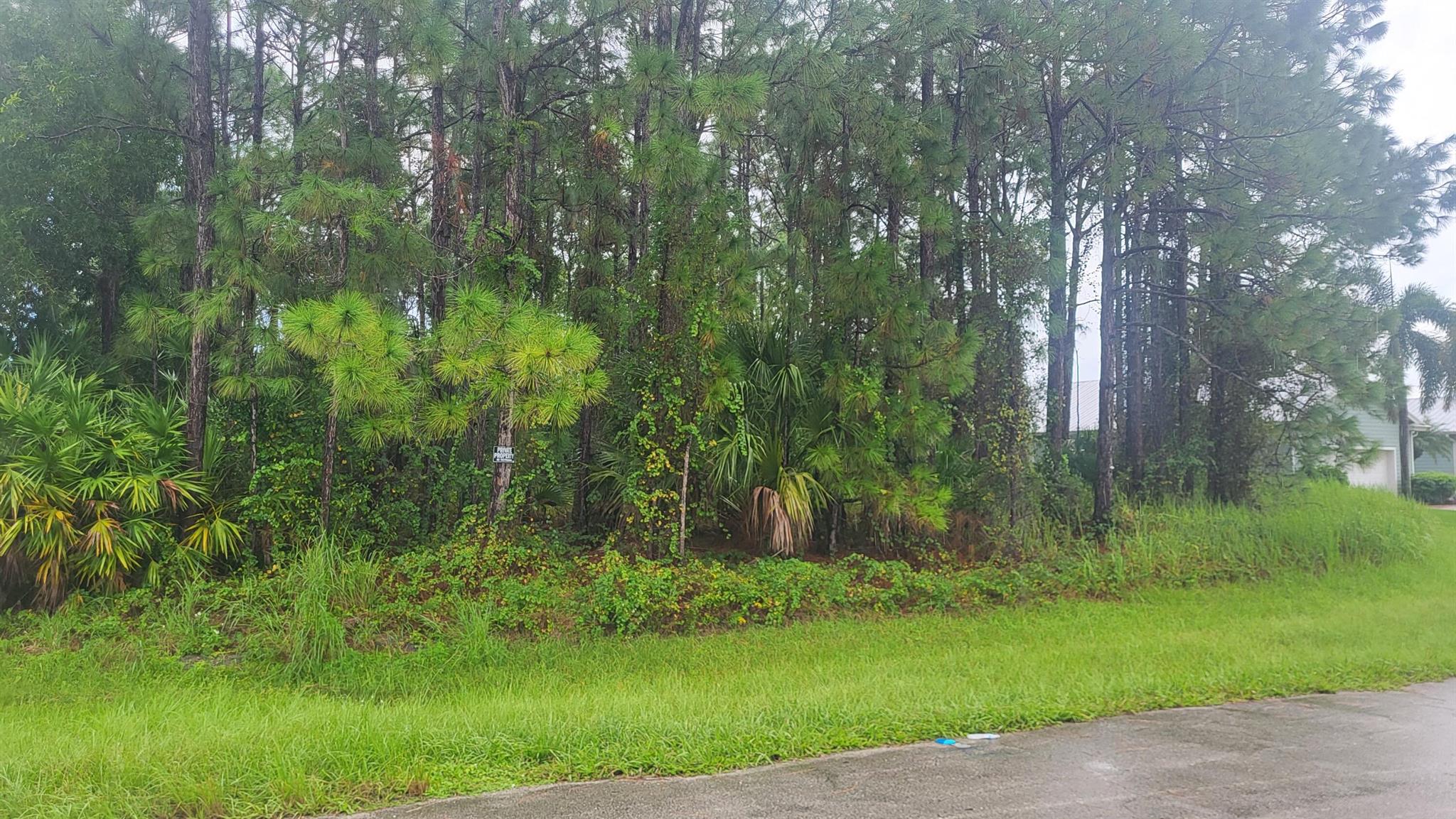 PORT ST LUCIE SECTION 44 - Land