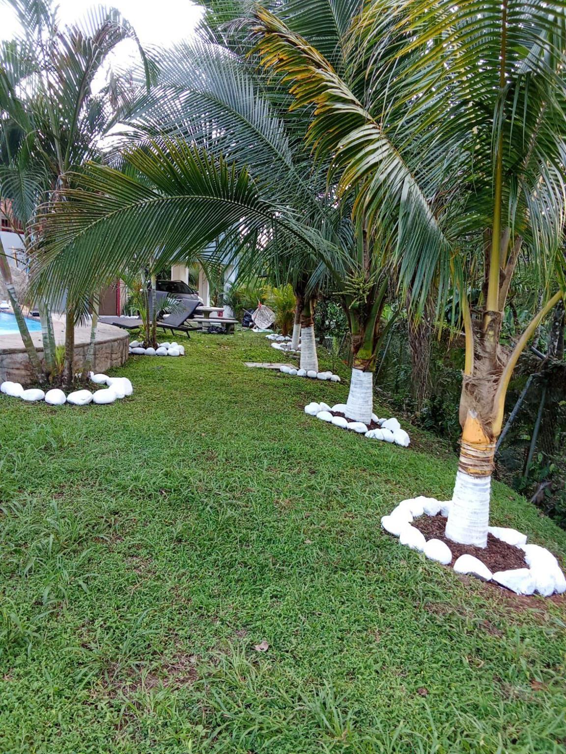 El Tanque, Fortuna - Residential