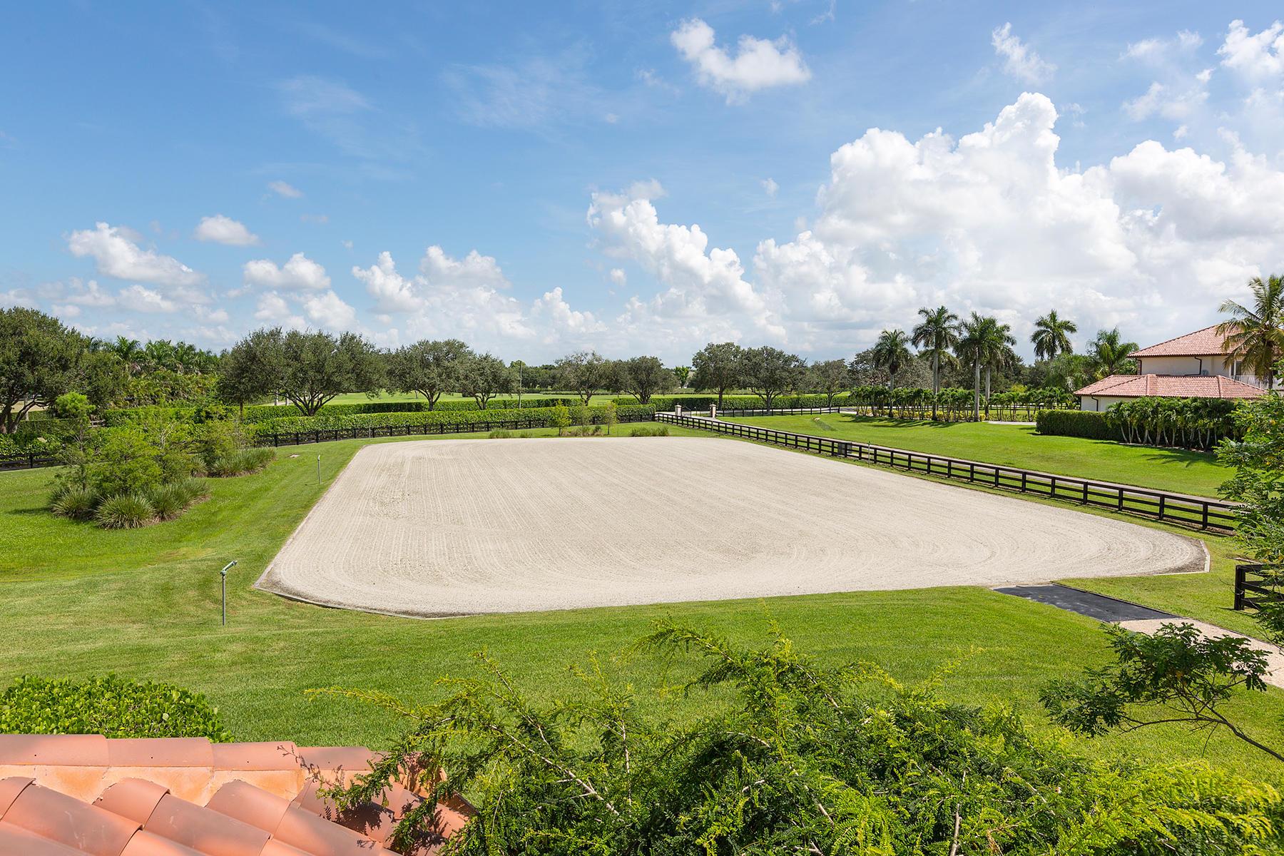 3310 Palm Beach Point Boulevard (Barn & Apartment), Wellington, FL, 33414/$235,000 4 3310 Palm Beach Point Boulevard (Barn & Apartment)
