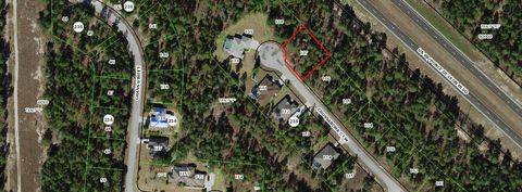 11 Crossandra Court W Homosassa FL 34446