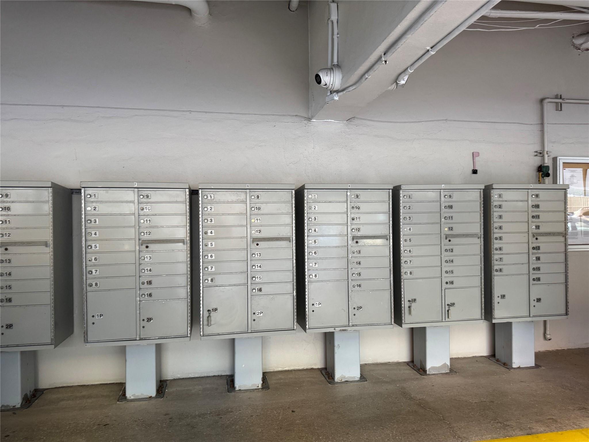 WHITE EGRET - Residential