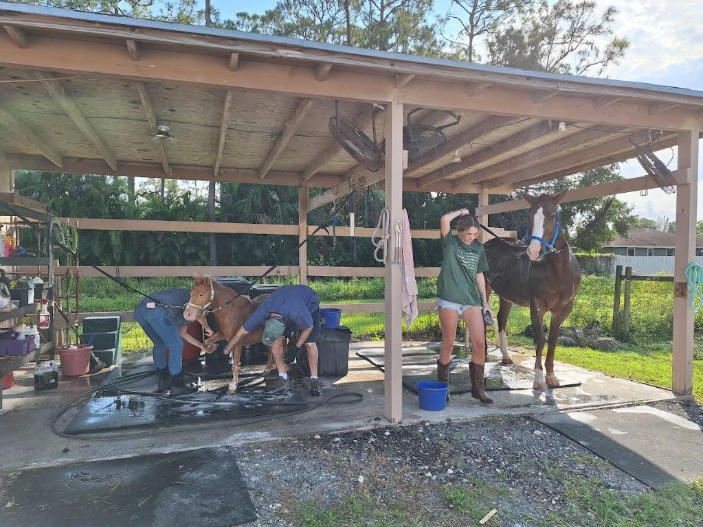 THE ACREAGE - Residential