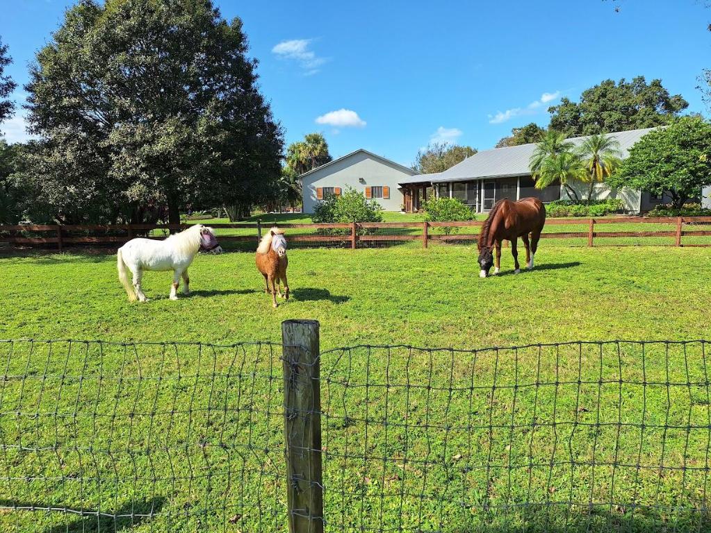 THE ACREAGE - Residential